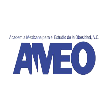 Logo - AMEO
